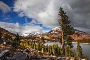 Tioga Lake-8917 Tioga Lake-8917
